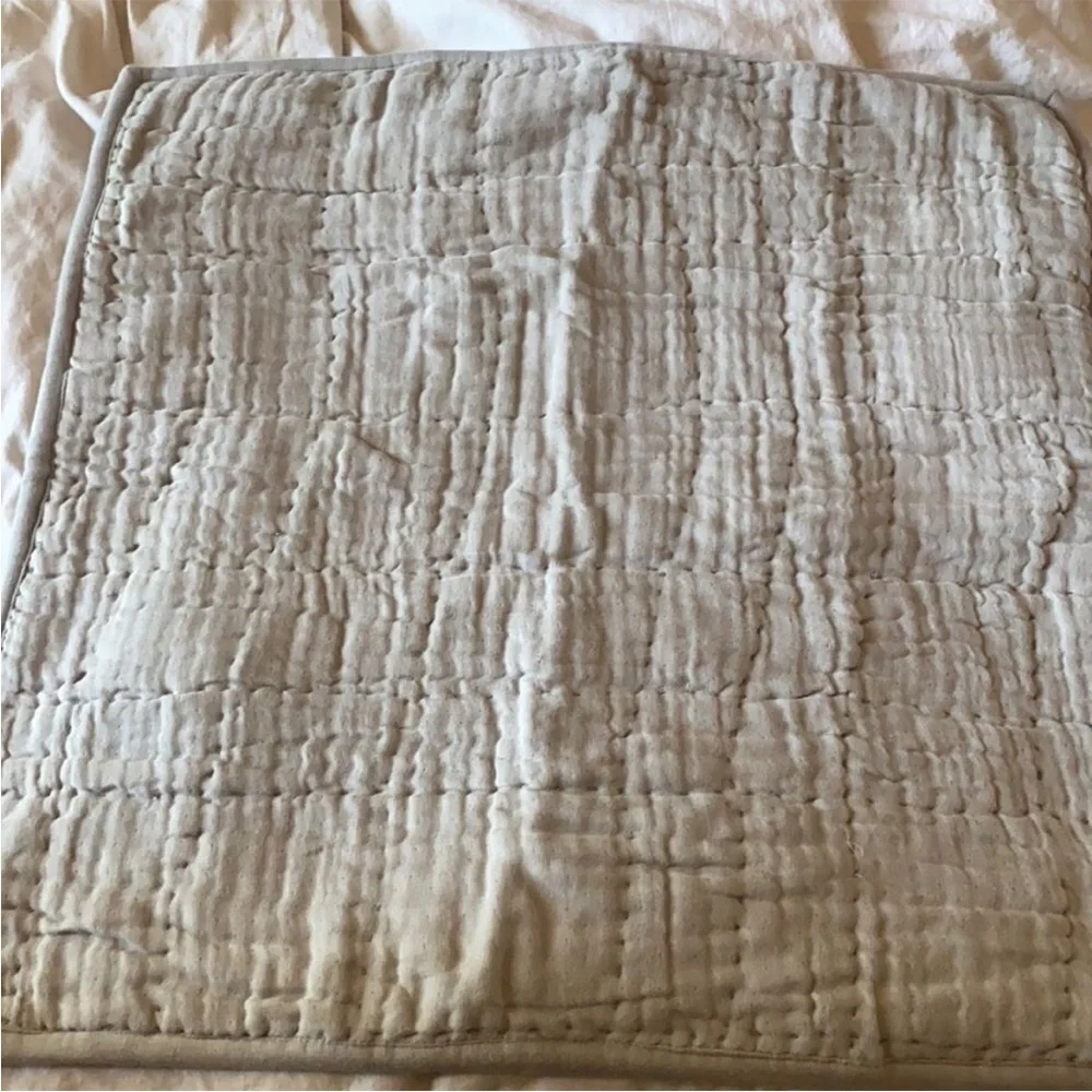 Anthropologie Reversible Airy Gauze Single Euro Sham